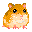 hamster