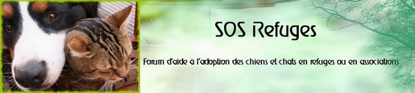 SOS Refuges